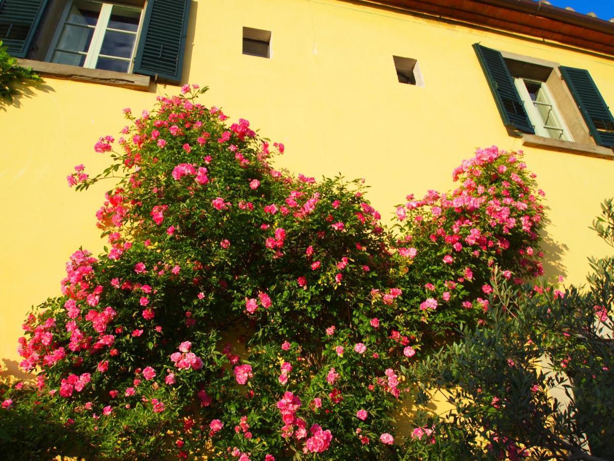 Il Sole Del Sodo Guest House Cortona Exterior photo